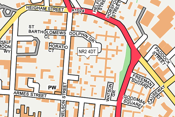 NR2 4DT map - OS OpenMap – Local (Ordnance Survey)