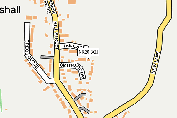 NR20 3QJ map - OS OpenMap – Local (Ordnance Survey)