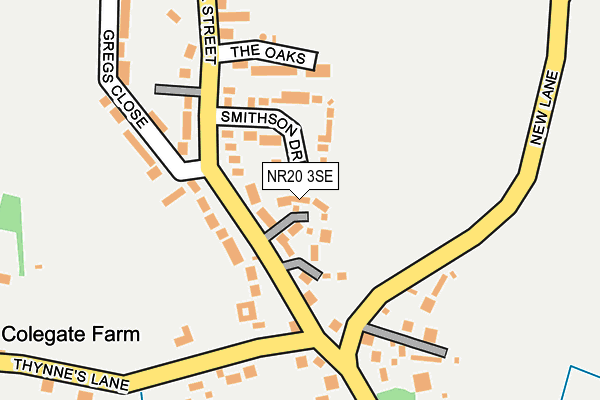 NR20 3SE map - OS OpenMap – Local (Ordnance Survey)