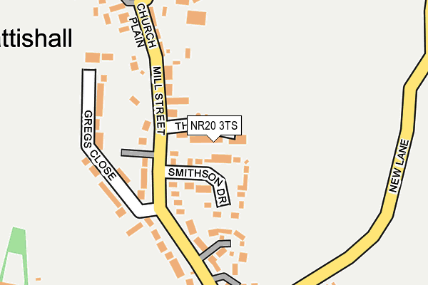 NR20 3TS map - OS OpenMap – Local (Ordnance Survey)
