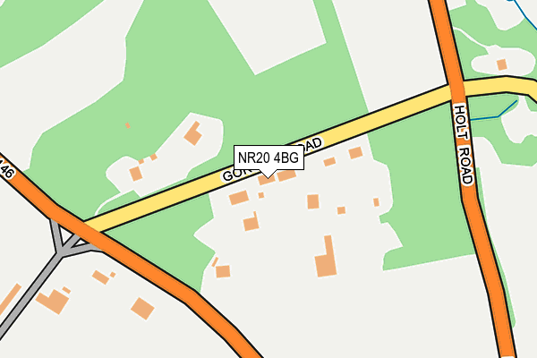 NR20 4BG map - OS OpenMap – Local (Ordnance Survey)