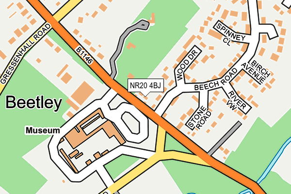 NR20 4BJ map - OS OpenMap – Local (Ordnance Survey)