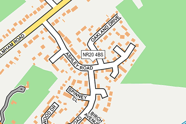 NR20 4BS map - OS OpenMap – Local (Ordnance Survey)