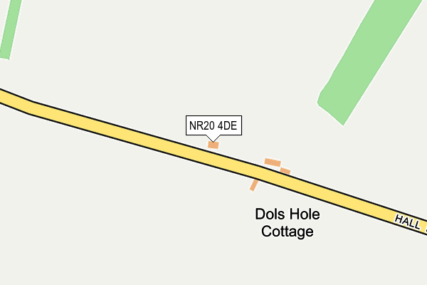 NR20 4DE map - OS OpenMap – Local (Ordnance Survey)