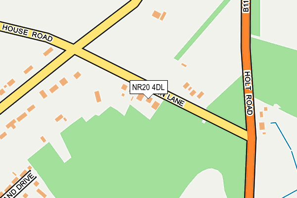 NR20 4DL map - OS OpenMap – Local (Ordnance Survey)