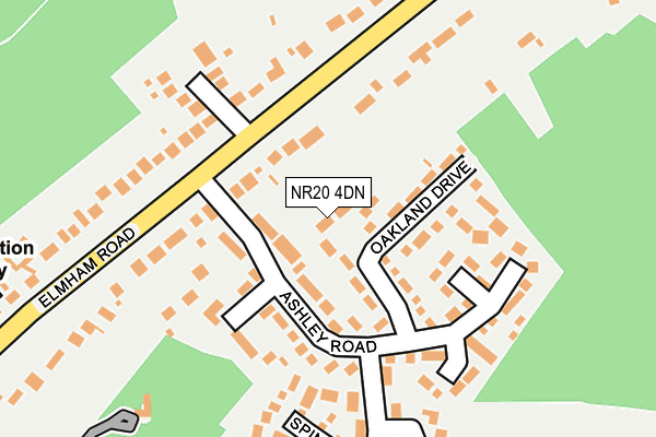 NR20 4DN map - OS OpenMap – Local (Ordnance Survey)