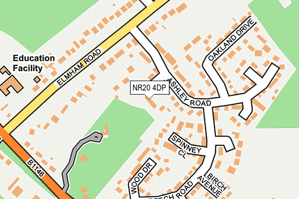 NR20 4DP map - OS OpenMap – Local (Ordnance Survey)