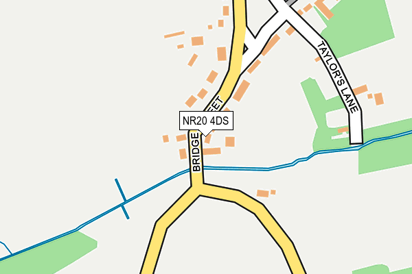 NR20 4DS map - OS OpenMap – Local (Ordnance Survey)