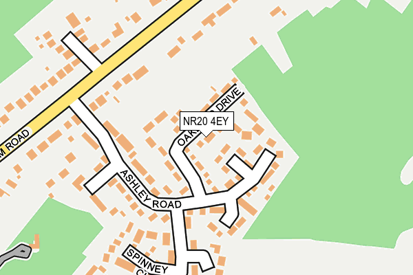 NR20 4EY map - OS OpenMap – Local (Ordnance Survey)