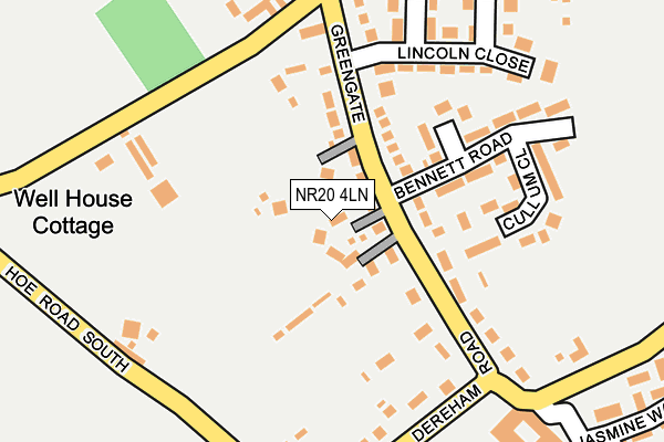 NR20 4LN map - OS OpenMap – Local (Ordnance Survey)