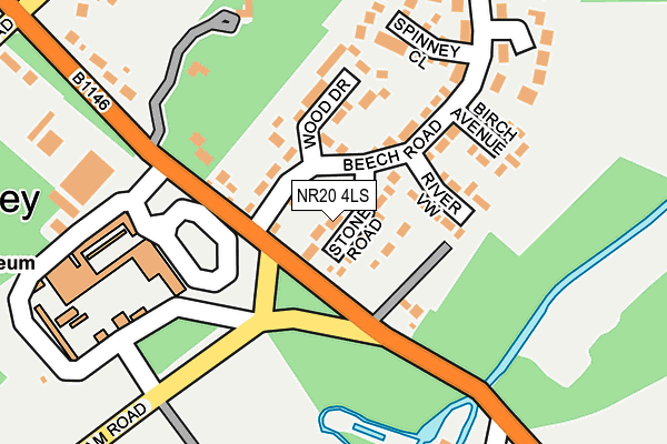 NR20 4LS map - OS OpenMap – Local (Ordnance Survey)