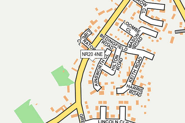 NR20 4NE map - OS OpenMap – Local (Ordnance Survey)