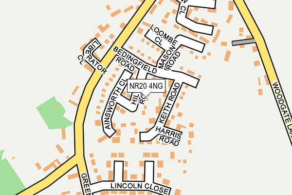 NR20 4NG map - OS OpenMap – Local (Ordnance Survey)