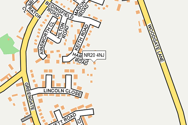 NR20 4NJ map - OS OpenMap – Local (Ordnance Survey)