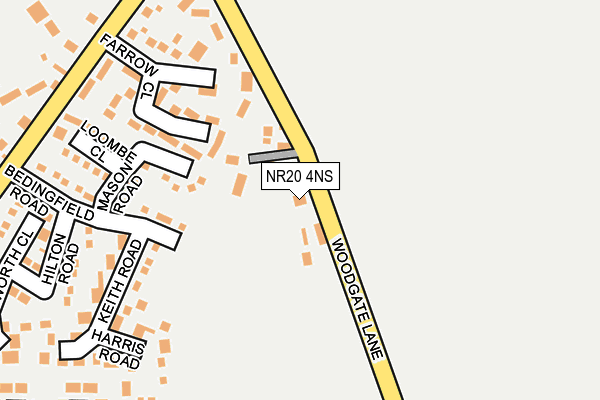 NR20 4NS map - OS OpenMap – Local (Ordnance Survey)