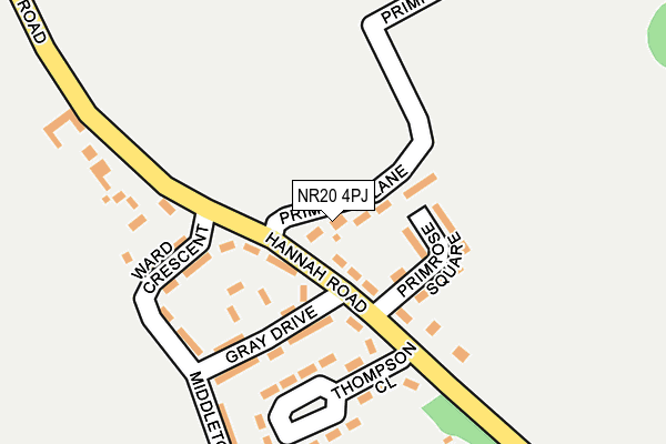 NR20 4PJ map - OS OpenMap – Local (Ordnance Survey)