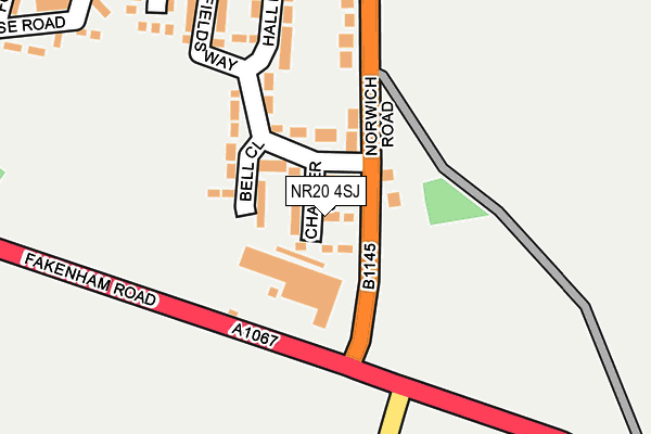 NR20 4SJ map - OS OpenMap – Local (Ordnance Survey)