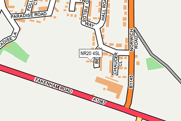 NR20 4SL map - OS OpenMap – Local (Ordnance Survey)