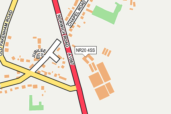 NR20 4SS map - OS OpenMap – Local (Ordnance Survey)