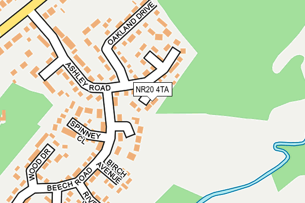 NR20 4TA map - OS OpenMap – Local (Ordnance Survey)