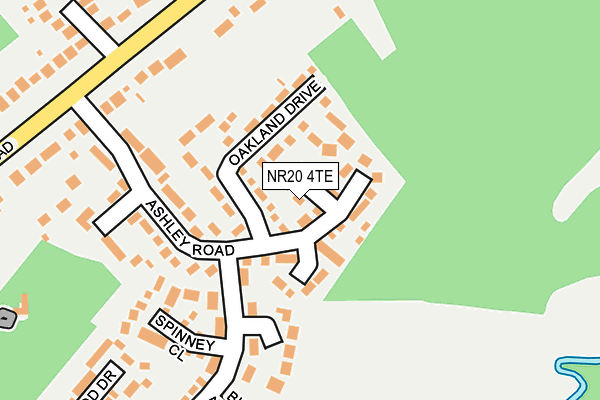 NR20 4TE map - OS OpenMap – Local (Ordnance Survey)
