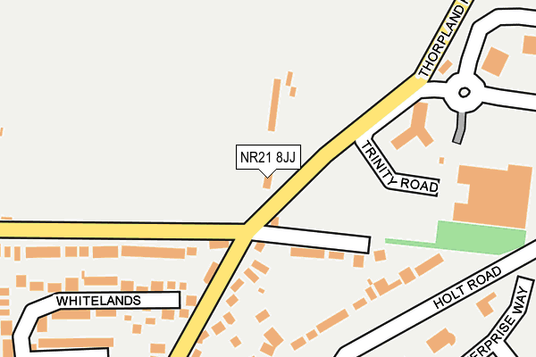 NR21 8JJ map - OS OpenMap – Local (Ordnance Survey)