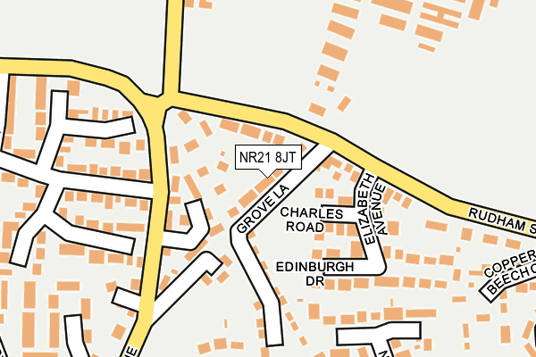 NR21 8JT map - OS OpenMap – Local (Ordnance Survey)