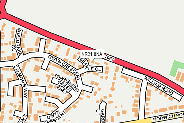 NR21 8NA map - OS OpenMap – Local (Ordnance Survey)