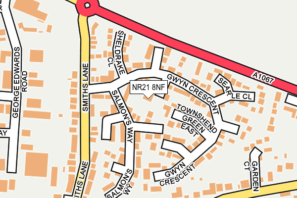 NR21 8NF map - OS OpenMap – Local (Ordnance Survey)