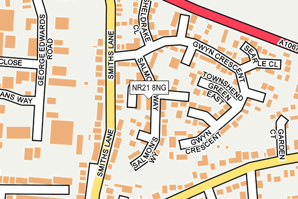 NR21 8NG map - OS OpenMap – Local (Ordnance Survey)