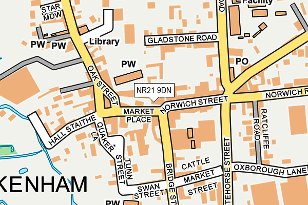 NR21 9DN map - OS OpenMap – Local (Ordnance Survey)