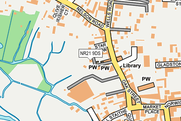 NR21 9DS map - OS OpenMap – Local (Ordnance Survey)