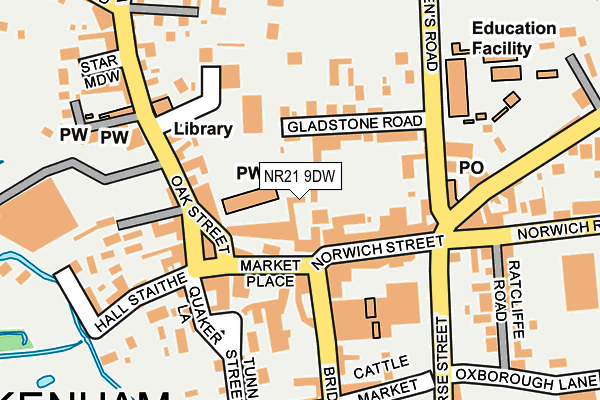 NR21 9DW map - OS OpenMap – Local (Ordnance Survey)