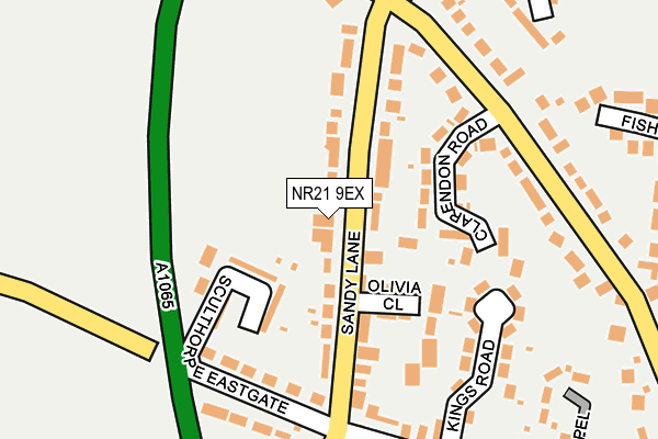 NR21 9EX map - OS OpenMap – Local (Ordnance Survey)