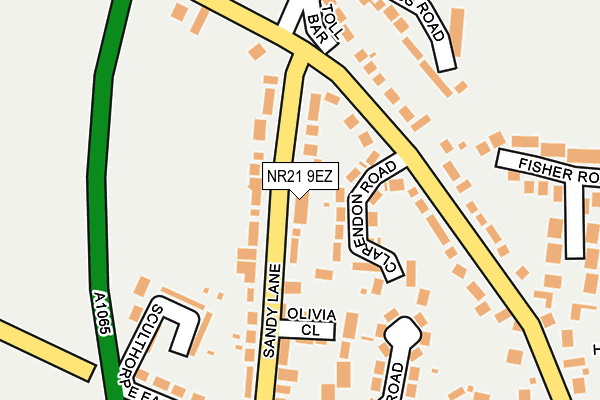 NR21 9EZ map - OS OpenMap – Local (Ordnance Survey)