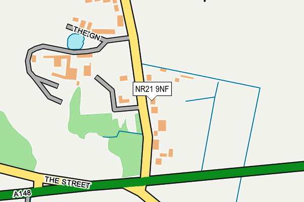 NR21 9NF map - OS OpenMap – Local (Ordnance Survey)