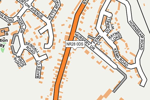 NR28 0DS map - OS OpenMap – Local (Ordnance Survey)