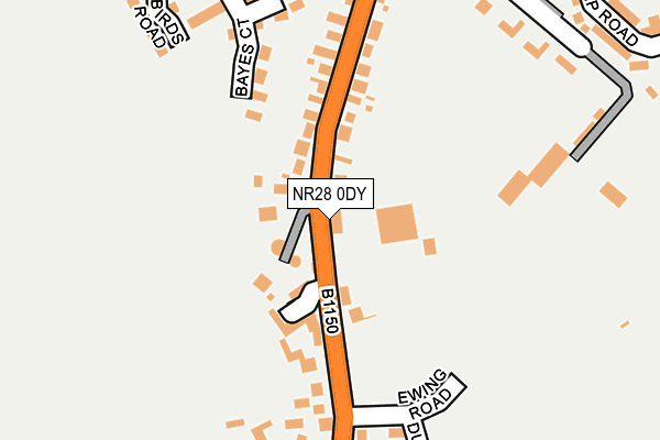 NR28 0DY map - OS OpenMap – Local (Ordnance Survey)