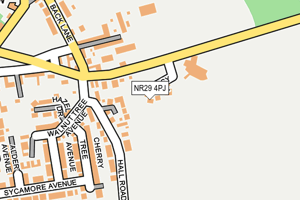 NR29 4PJ map - OS OpenMap – Local (Ordnance Survey)