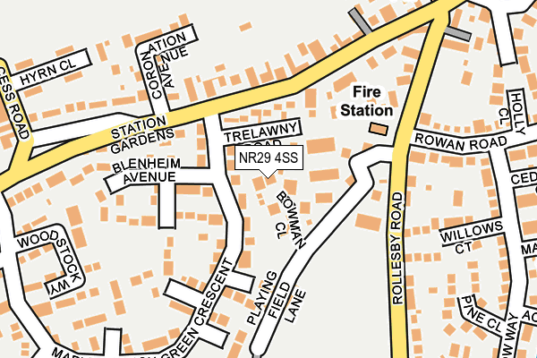 NR29 4SS map - OS OpenMap – Local (Ordnance Survey)
