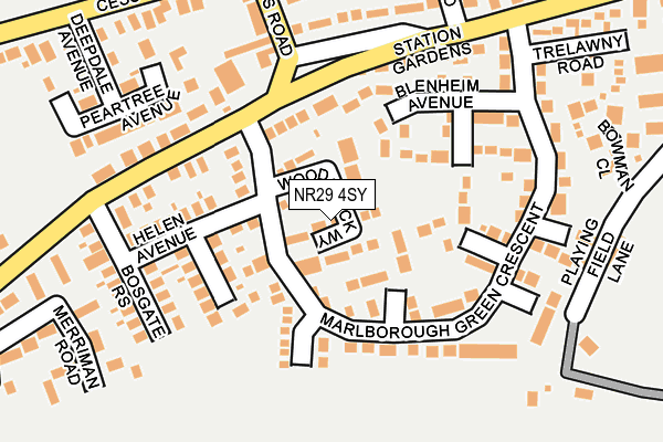 NR29 4SY map - OS OpenMap – Local (Ordnance Survey)