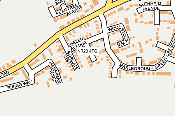 NR29 4TG map - OS OpenMap – Local (Ordnance Survey)
