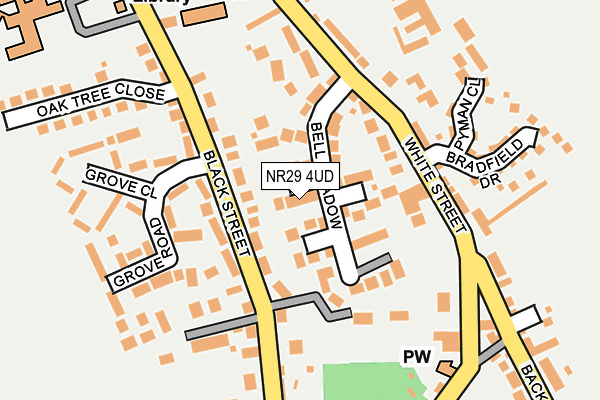 NR29 4UD map - OS OpenMap – Local (Ordnance Survey)