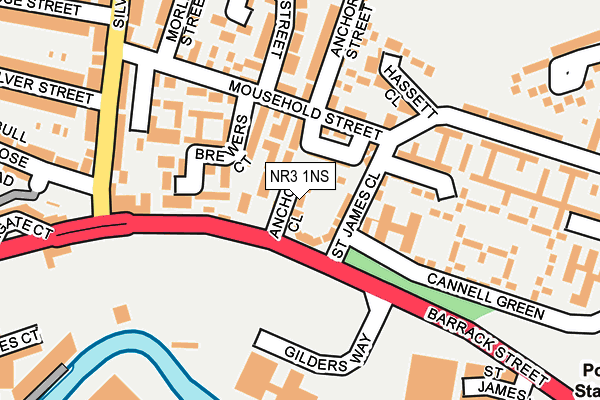 NR3 1NS map - OS OpenMap – Local (Ordnance Survey)