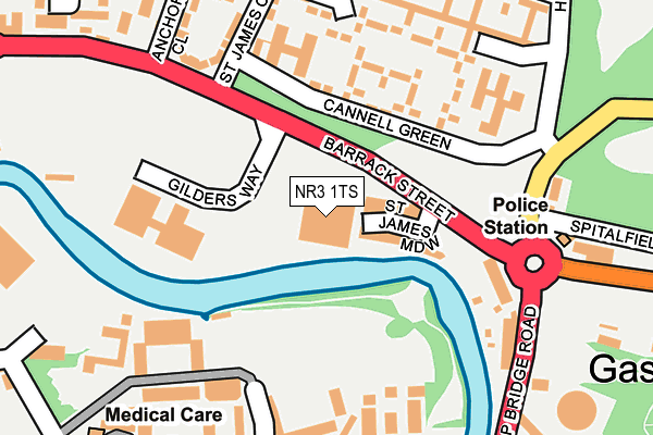 NR3 1TS map - OS OpenMap – Local (Ordnance Survey)