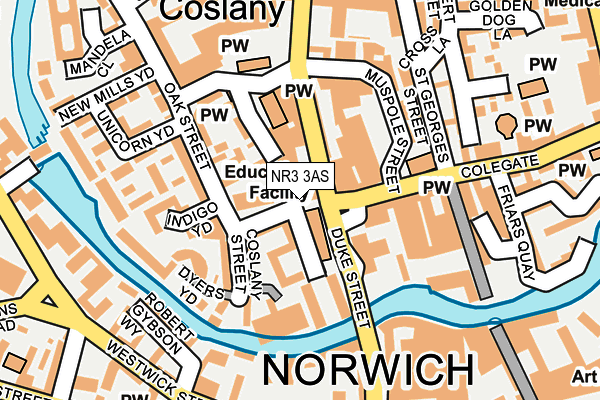 NR3 3AS map - OS OpenMap – Local (Ordnance Survey)