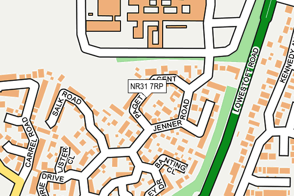 NR31 7RP map - OS OpenMap – Local (Ordnance Survey)