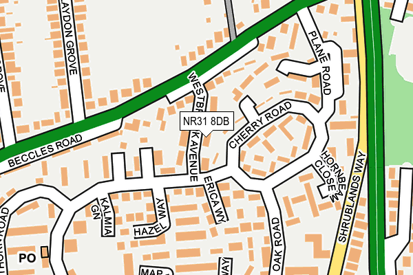 NR31 8DB map - OS OpenMap – Local (Ordnance Survey)