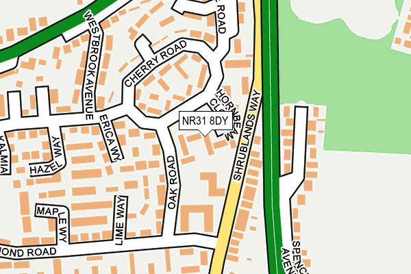 NR31 8DY map - OS OpenMap – Local (Ordnance Survey)