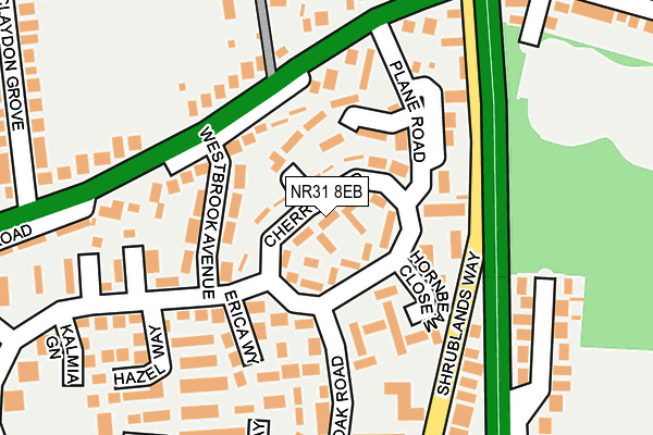 NR31 8EB map - OS OpenMap – Local (Ordnance Survey)